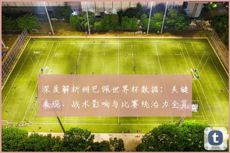 深度解析姆巴佩世界杯数据：关键表现、战术影响与比赛统治力全览